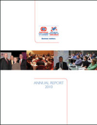 2010 annual report
